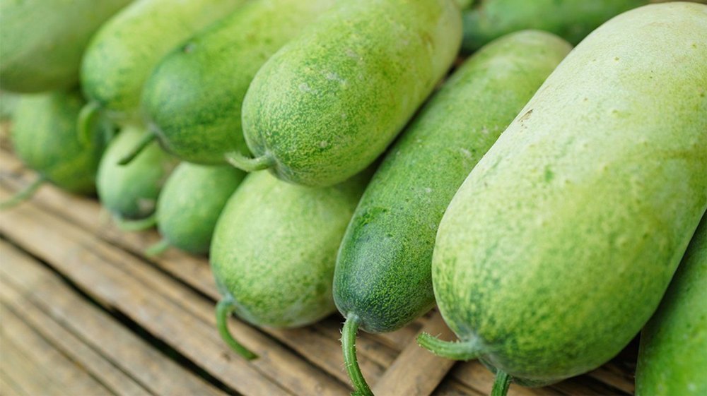 A Grade Tamil Nadu Green Ash Gourd, Gunny Bag, 50 Kg