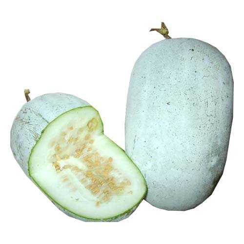 Green Colour A Grade Fresh Ash Gourd, 20 Kg, Packaging: Plastic Bag or Polythene
