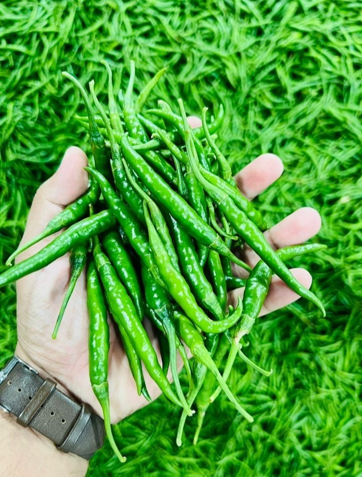 A Grade 4 mm G4 Green Chilly, Pan India, Packaging Size: 5 Kg