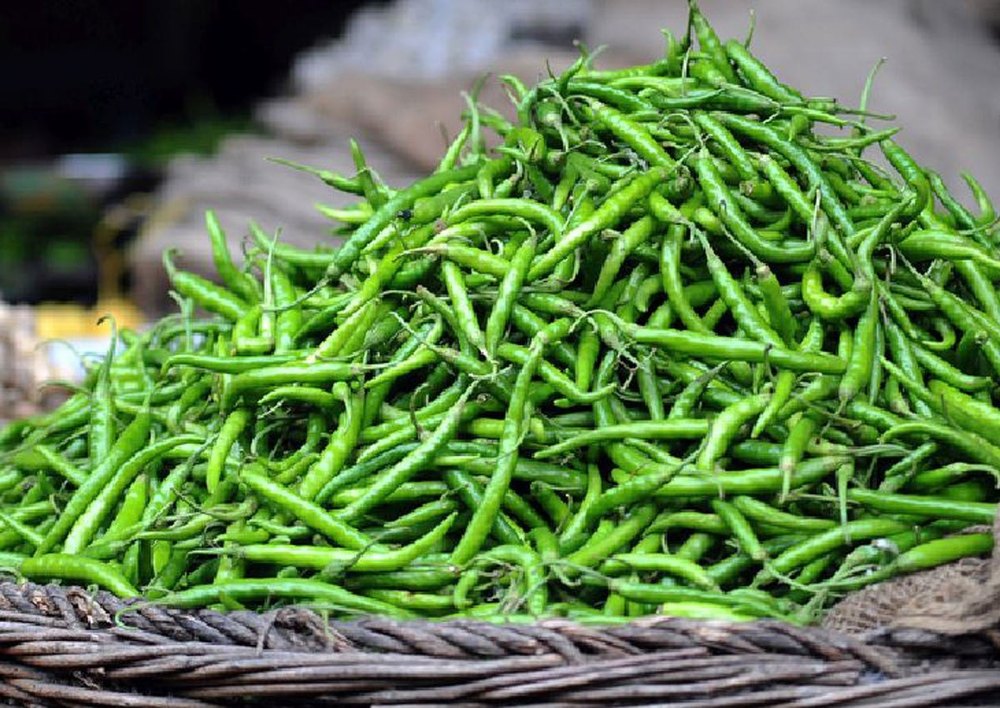 A Grade Fresh Green Chilli, Packaging Size: 10 Kg