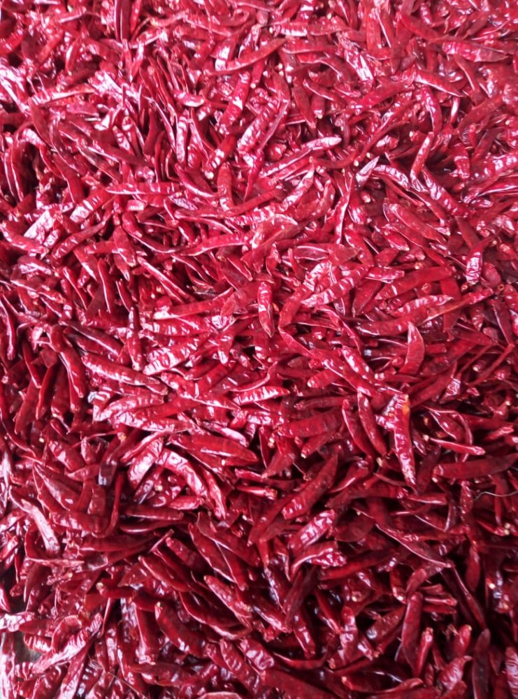 A Grade Mundu Red Hot Pepper