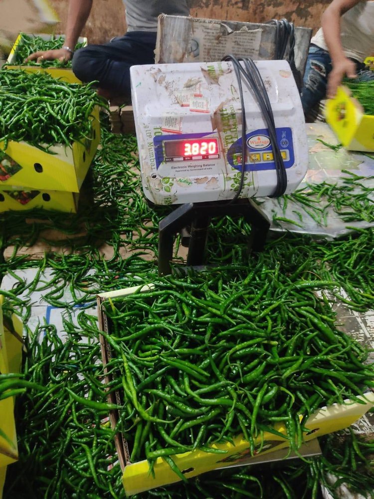 A Grade Farm Fresh Green Chilli, Pan India, Packaging Size: 3.8 kg/box