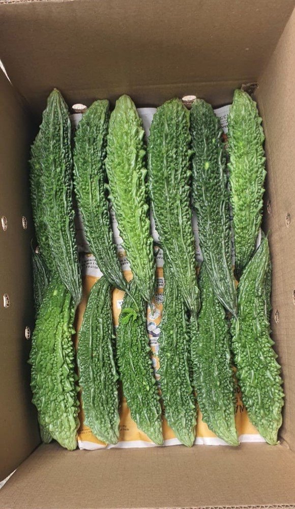 Export Quality Tamil Nadu Fresh Indian Green Bitter Gourd, 5 Kg, Pesticide Free (for Raw Products)