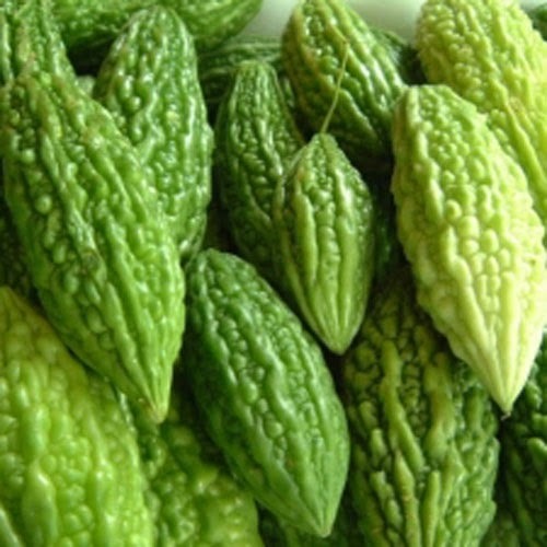 Momordica Charantia
