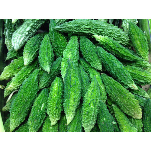 Pan India Green Bitter Gourd, Pesticide Free (for Raw Products), Packaging: Plastic Bag or Polythene Bag