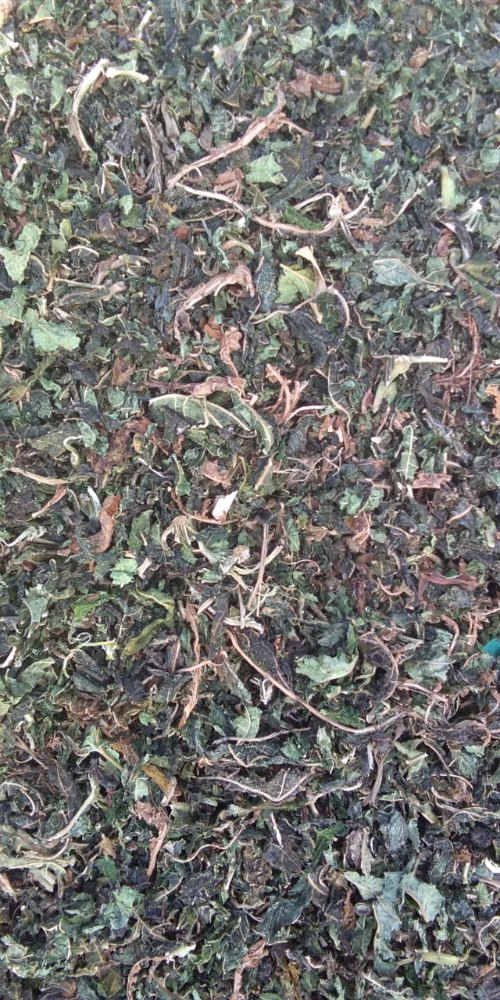 Green DRY PALAK, For Medicinal