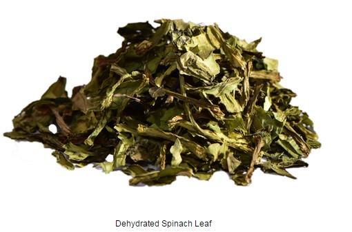 rainbow Green Spinach Leaves, Packaging Size: 5 Kg