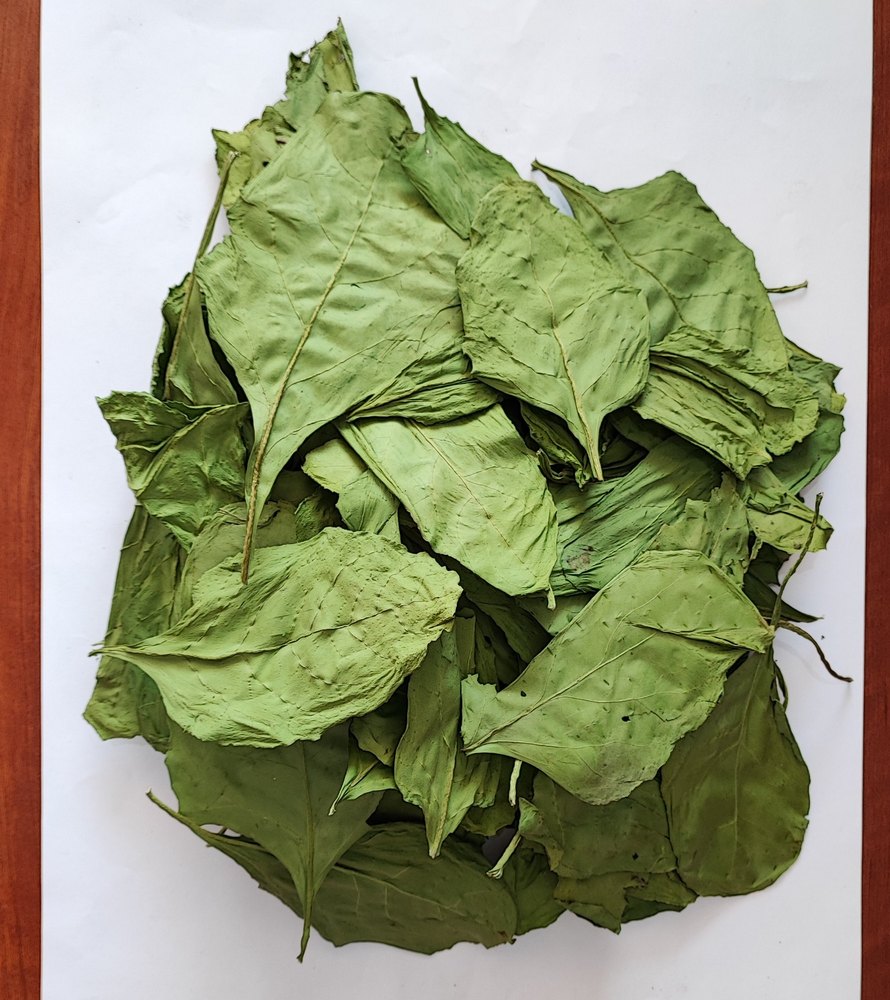 Green Dehydrated Spinach Flakes