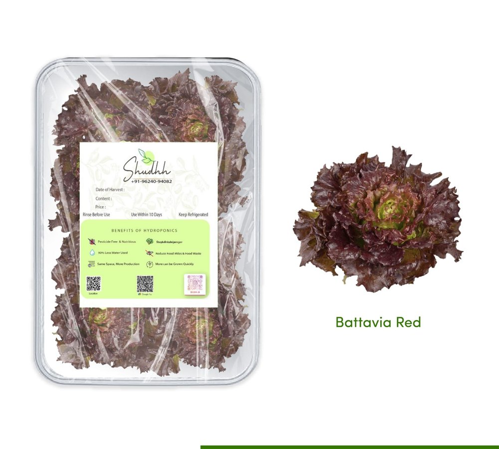 A Grade Pan India Red Batavia, Plastic box, 110g
