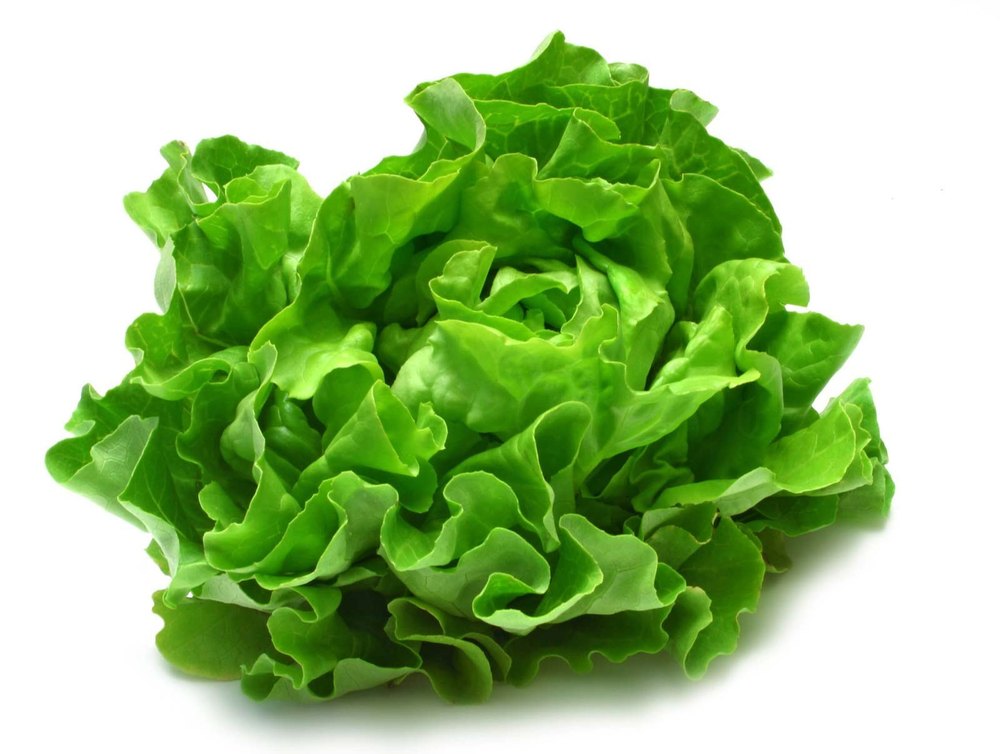 Green A Grade Organic Lettuce Leaves