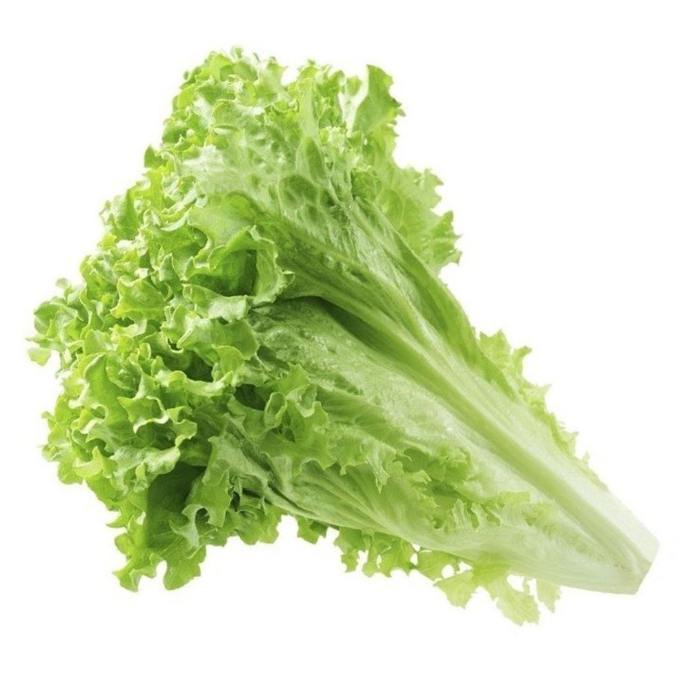 Maharashtra A Grade Green Lettuce, Loose, In Organic