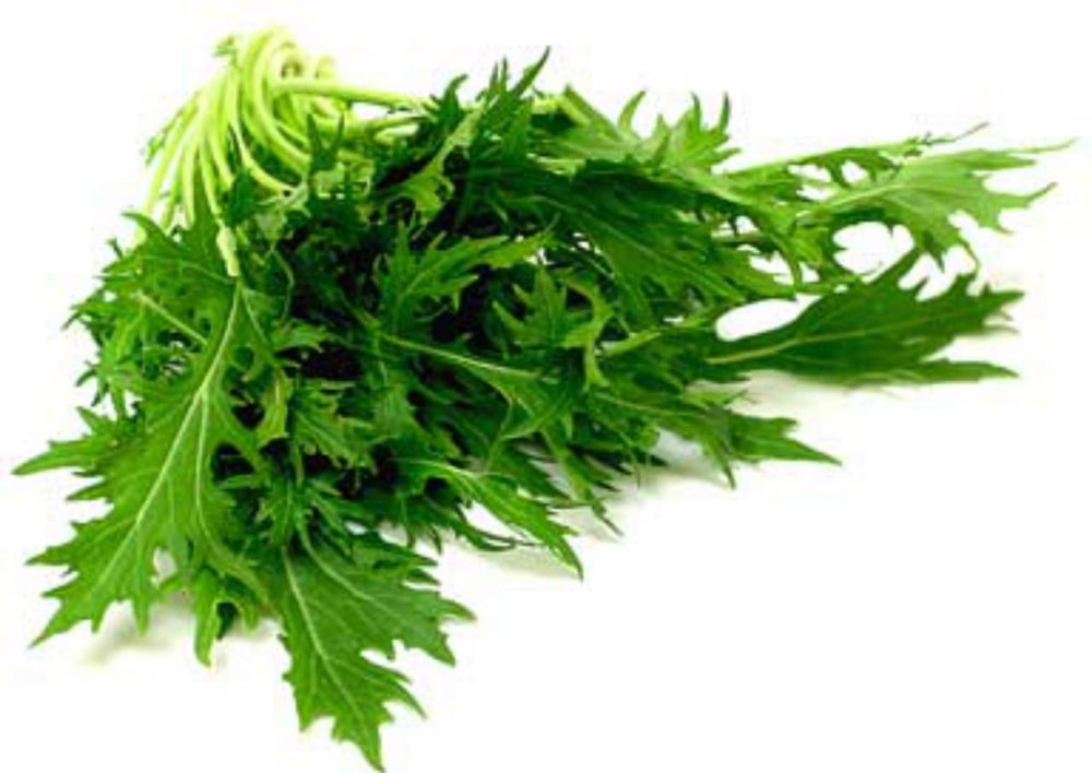 Pesticide Free (for Raw Products) Grade A Mizuna Lettuce, 5 Kg