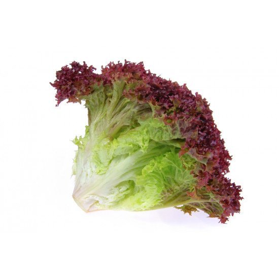 Red Maroon Pesticide Free (for Raw Products) Lettuce Lollorosso, Carton, 1