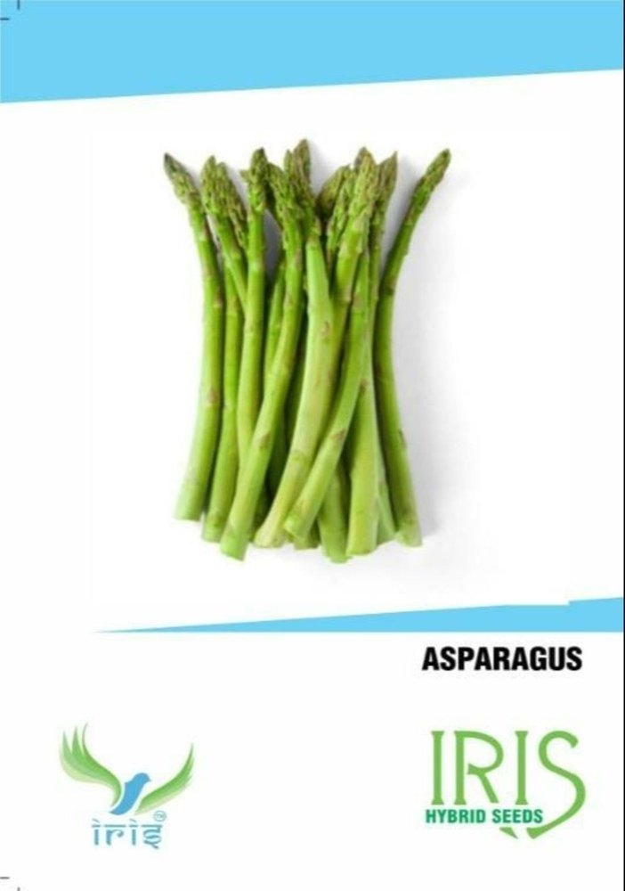Herbs Pan India Asparagus, Packet, Packaging Size: 20 Seeds