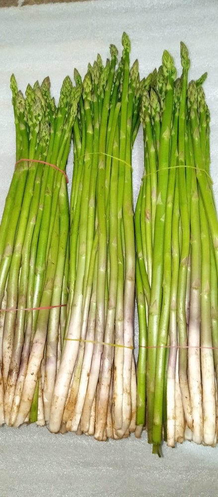 200 kg Per Day Karanataka & Tamil Nadu Asparagus, Carton, Packaging Size: 20 L X 12 H X 14 W (in Inch)