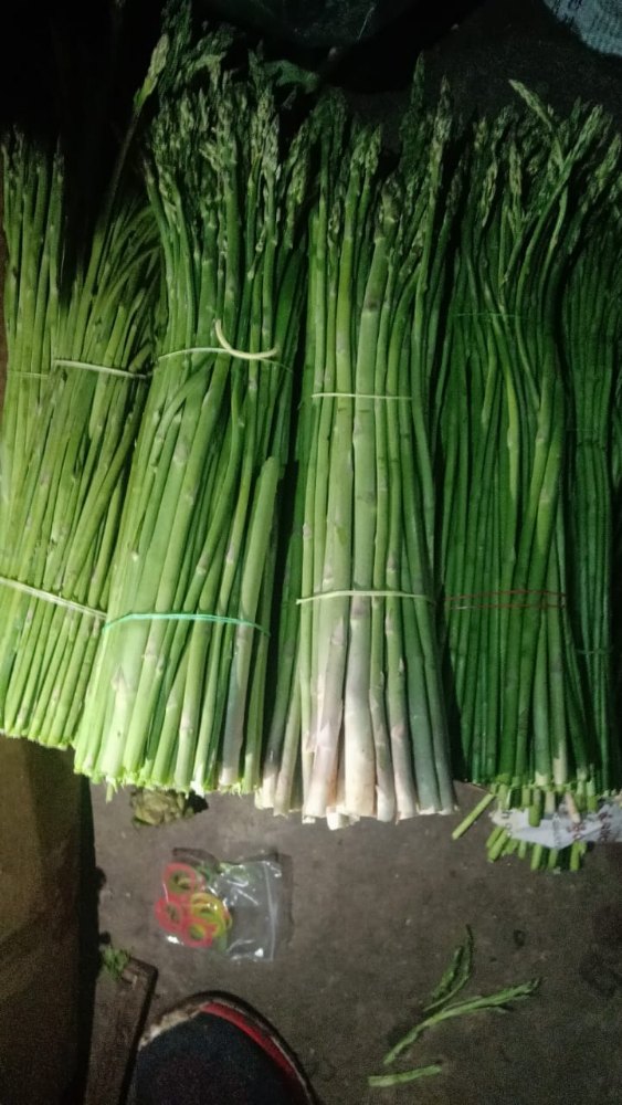 A-grade Pan India Asparagus