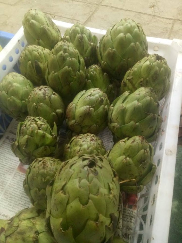 Artichoke Fruit