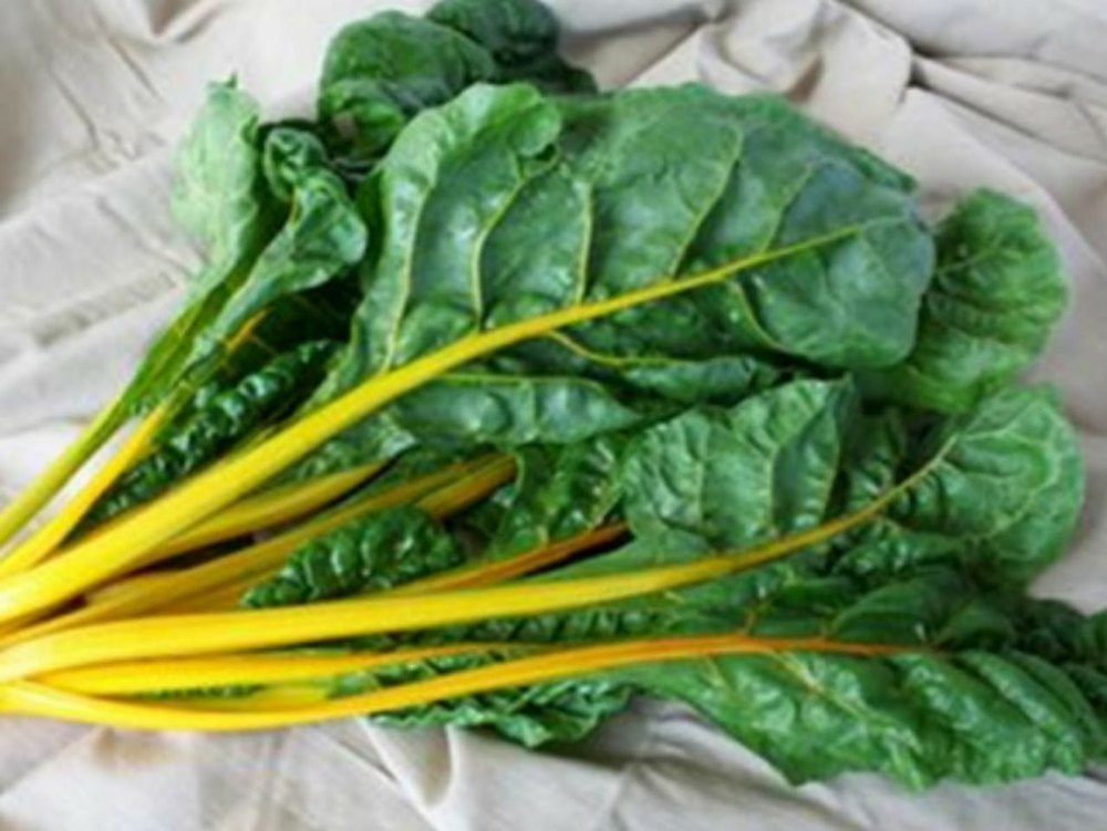 A Grade Green Organic Swiss Chard, PP Bag, 5 Kg