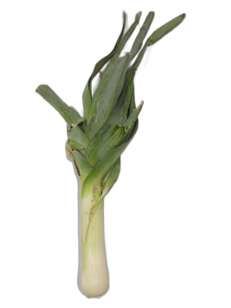 Leeks Exotic Vegetable, 20 Kg, Gunny Bag
