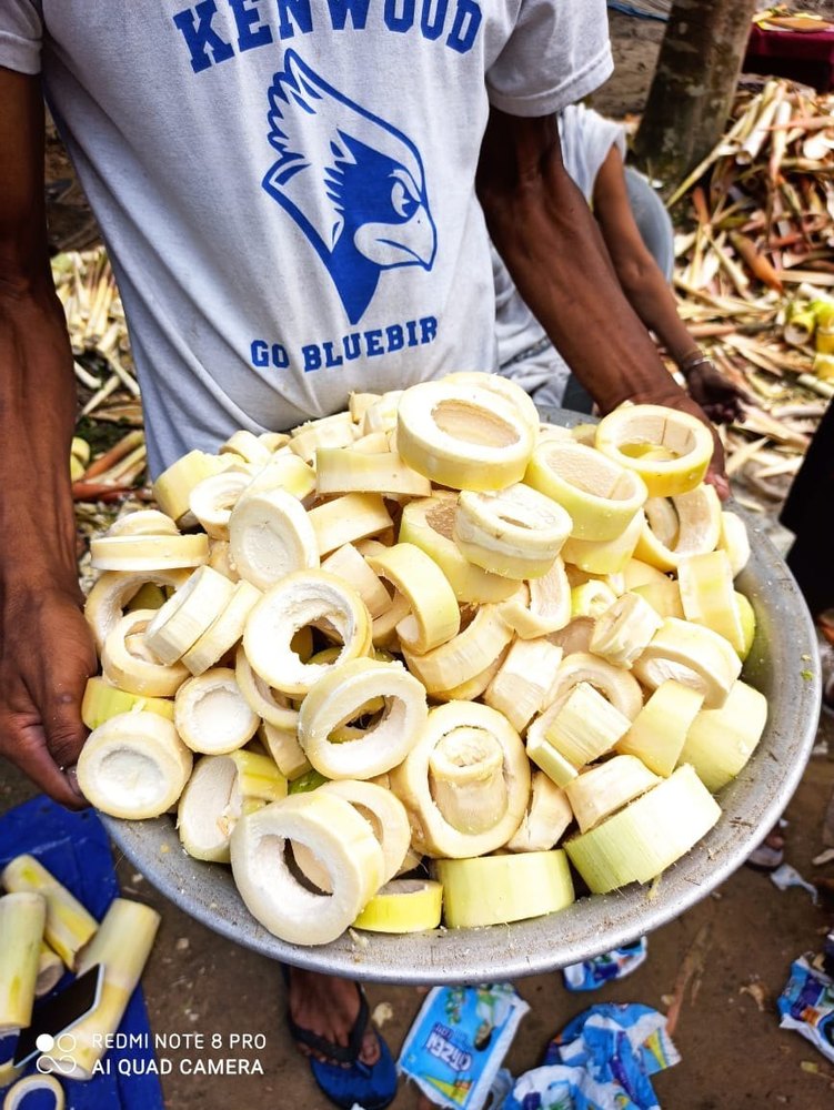 A Grade white Bamboo Shoots Slices, Gunny Bag, 35 kg