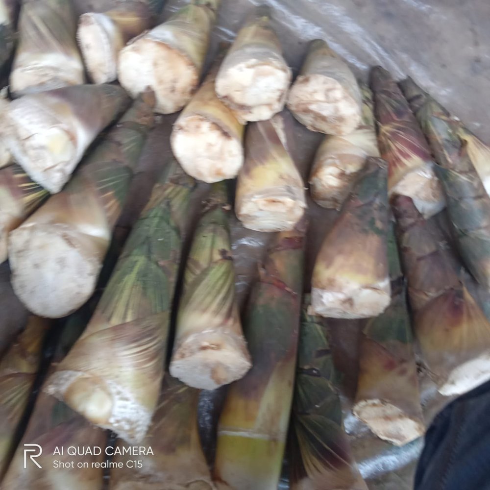 Assam Bamboo Shoots