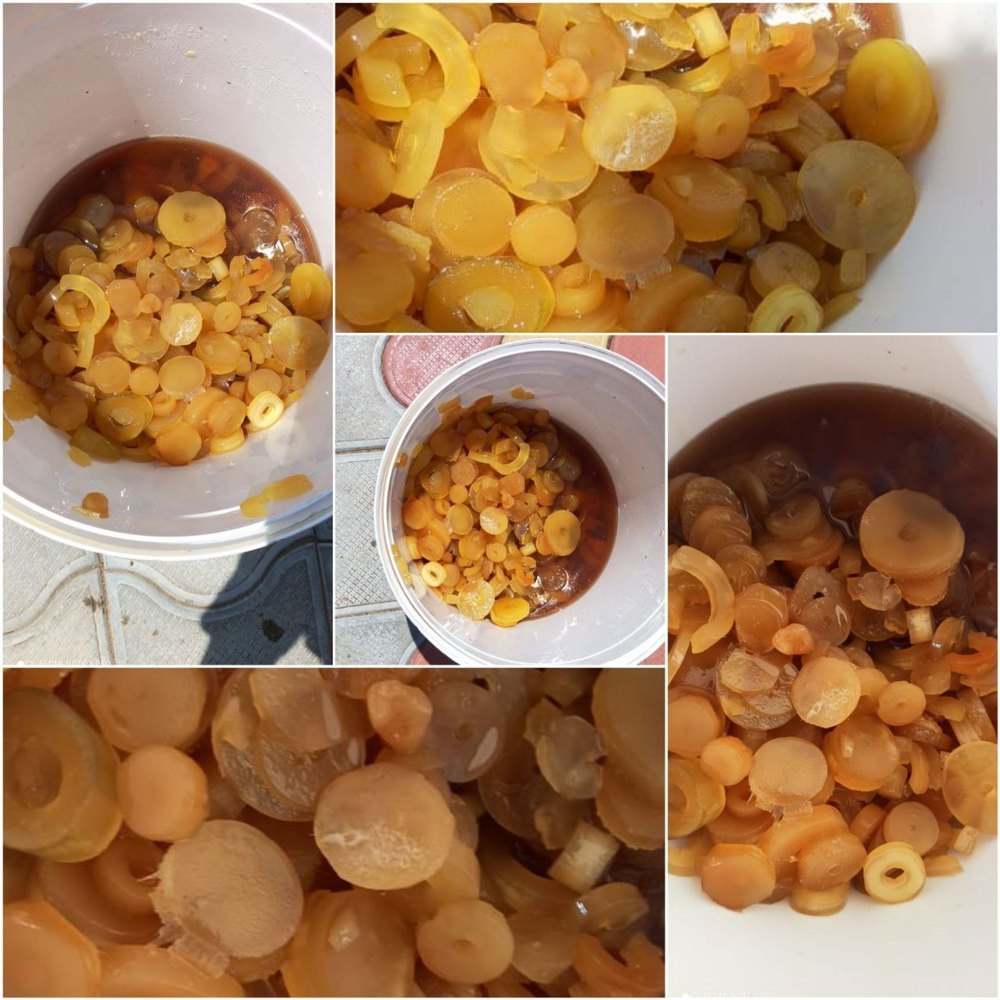 A Grade Yellow Bamboo Shoots In Pure Original Honey, bottle, 1kg