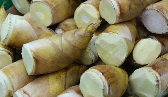 Bamboo Shoots, Packaging: Carton