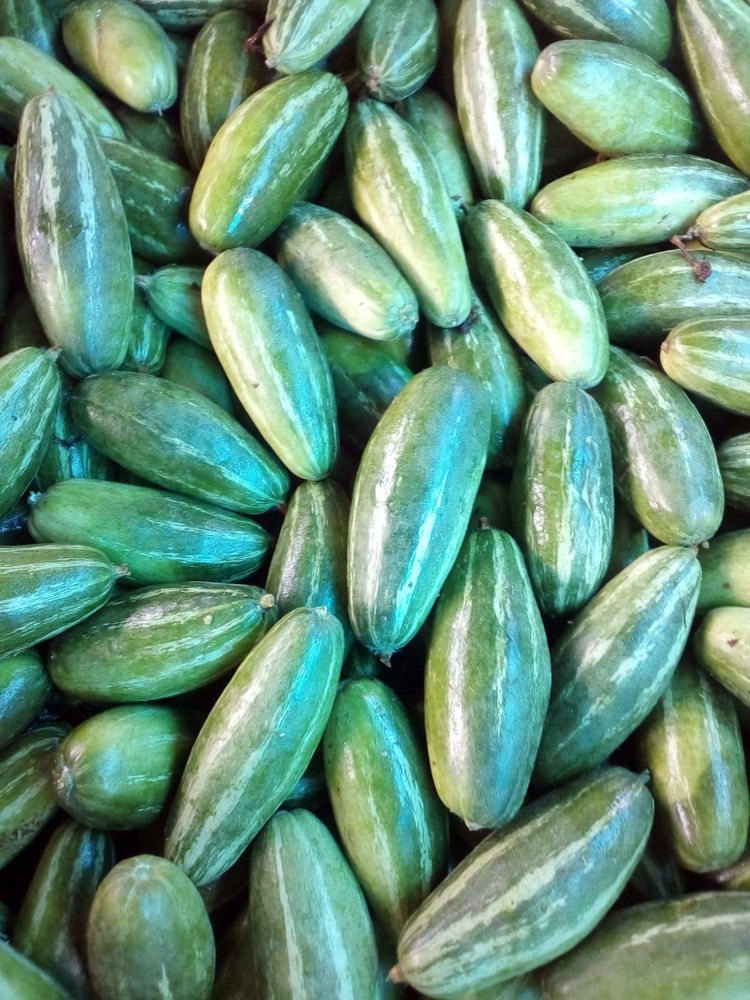 Pan India A Grade Fresh Green Parwal, Loose