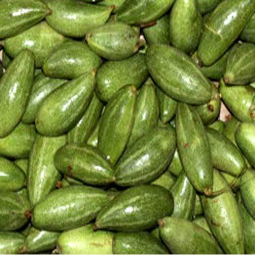 A Grade Green Fresh Parwal