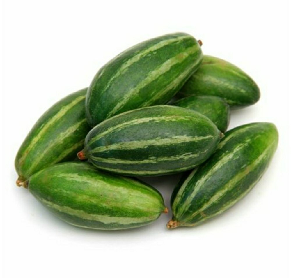 Fresh Parwal, No Preservatives, Packaging Size: 20 Kg
