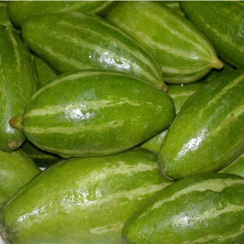 Pointed Gourd