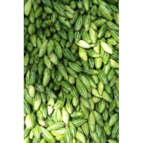 A Grade Green Fresh Pointed Gourd, 60 Kg, Pesticide Free (for Raw Products)