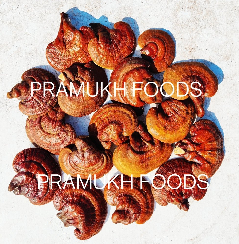 a Grade Gujarat- India Dried Red Reishi Mushroom, Carton, 10 Kg