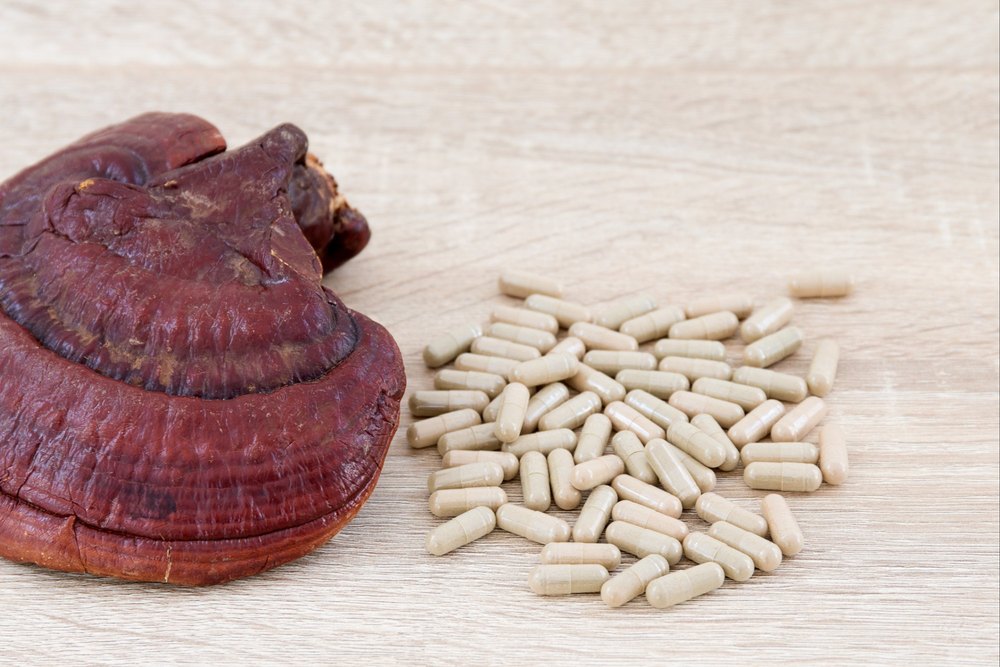 Ganoderma Boost Energy Reishi Mushroom Capsules, Packaging Type: 60 Vegicaps In 1 Box