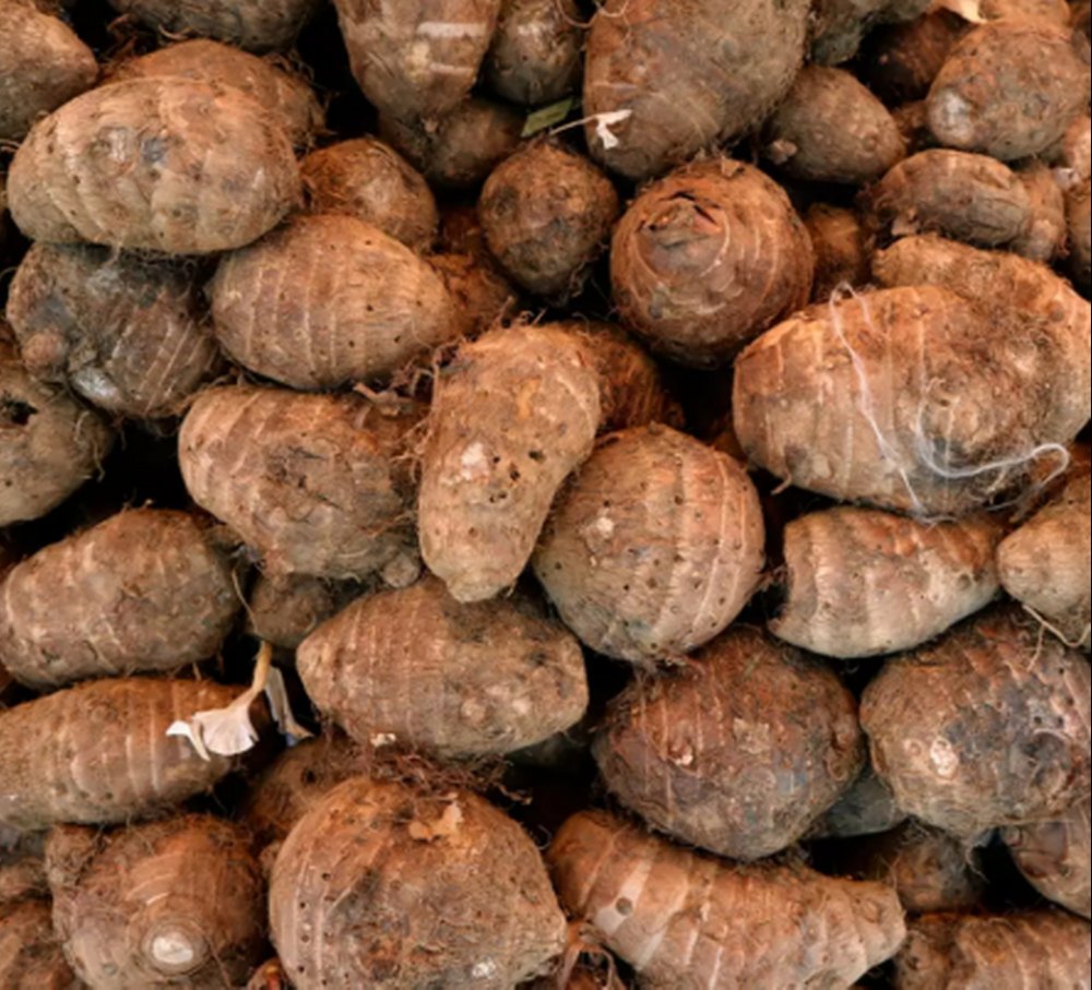 Uttar Pradesh Taro Root (Arbi), Packaging Type: Gunny Bag
