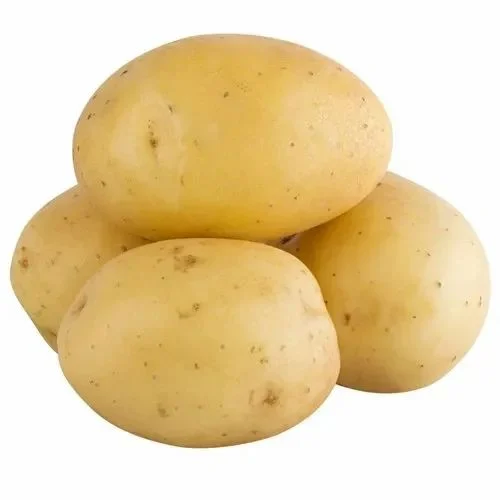 A Grade West Bengal White Fresh Potatoes, Gunny Bag, Packaging Size: 10 Kg
