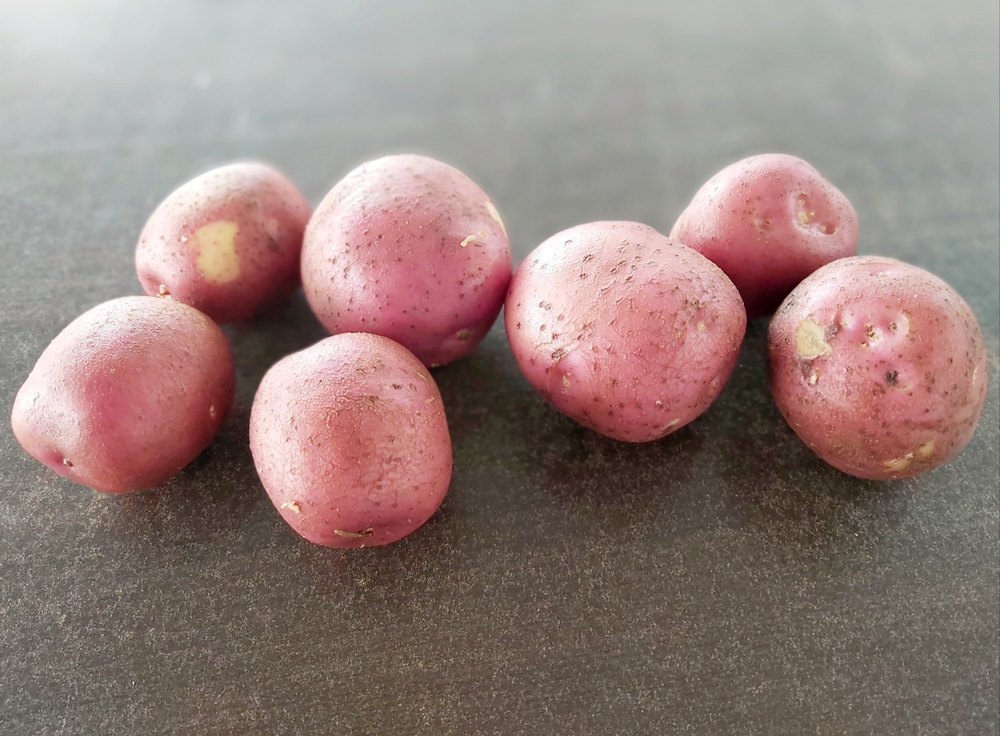 A Grade Red Lady Rosetta Potato, Leno Bags, 50kg
