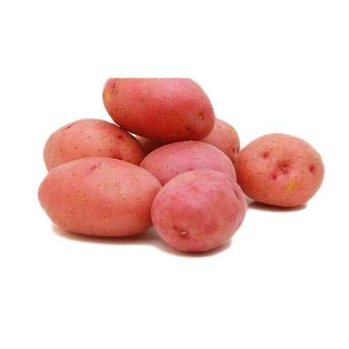 Red Lady Rosetta Potatoes