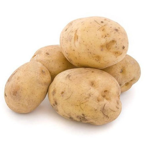 Yellow Oval Lady Rosetta Potato