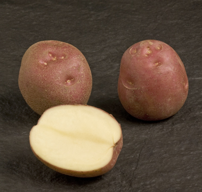 Lady Rosetta Potatoes Or Red Potatoes