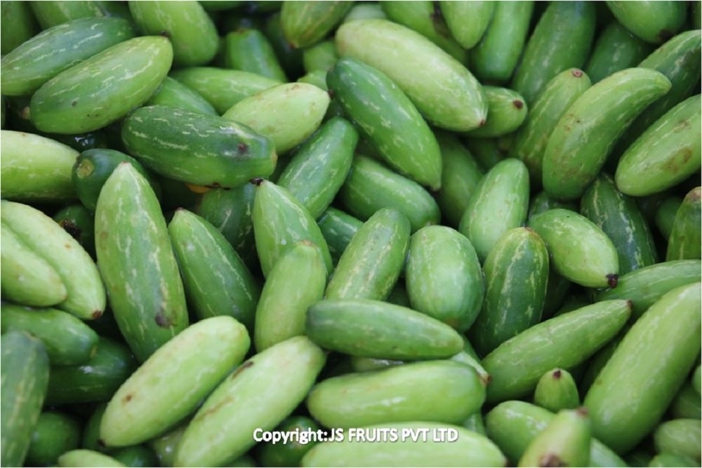 A Grade Green Fresh Thondekai