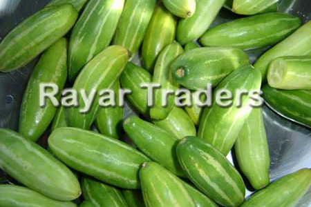 IVY GOURD, kovakkai