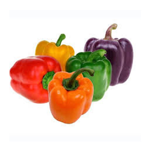 Red Tamil Nadu Preserved Sweet Pepper, Carton, Jars