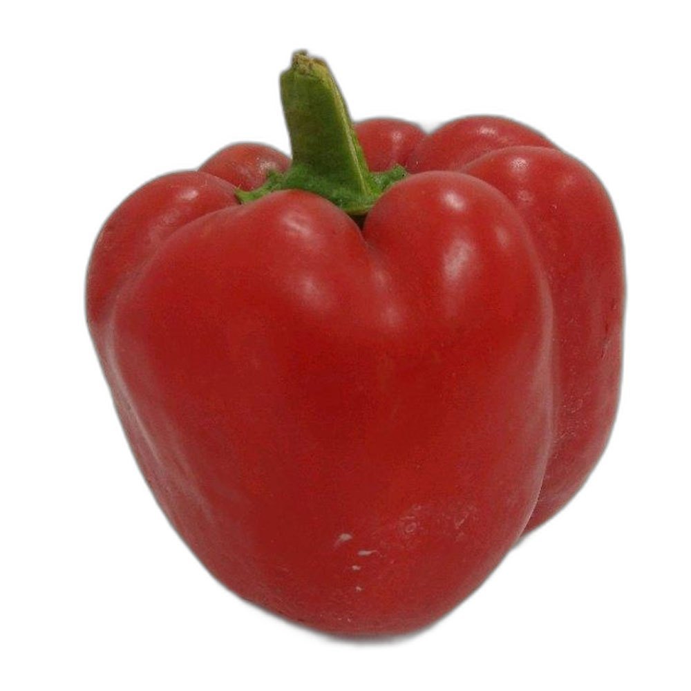 Capsicum Bell Pepper, Packaging Type: Carton, Packaging Size: 20 Kg