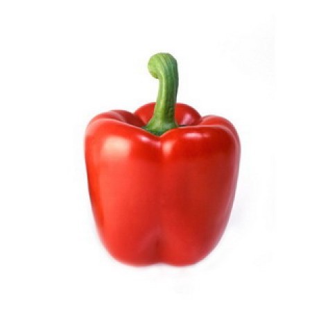 Sweet Pepper