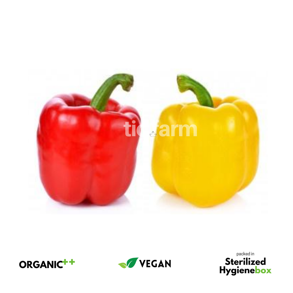 A Grade Hot & Sweet Bell Peppers, Packaging Type: Carton, Packaging Size: 5 Kg