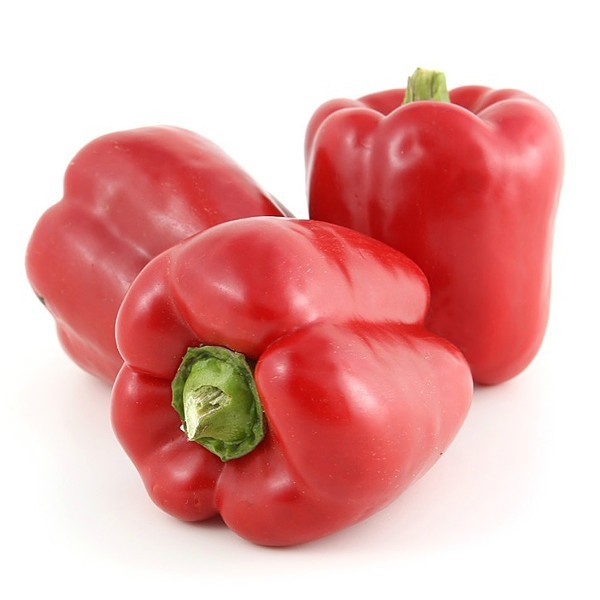 Red Capsicum, Packaging: Carton