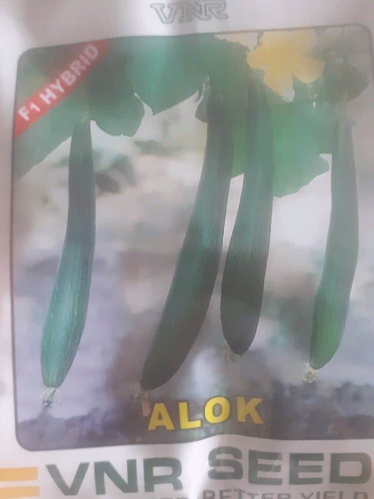 Dark Green A Grade Spongegourd alok, 50gms packets, 50grams