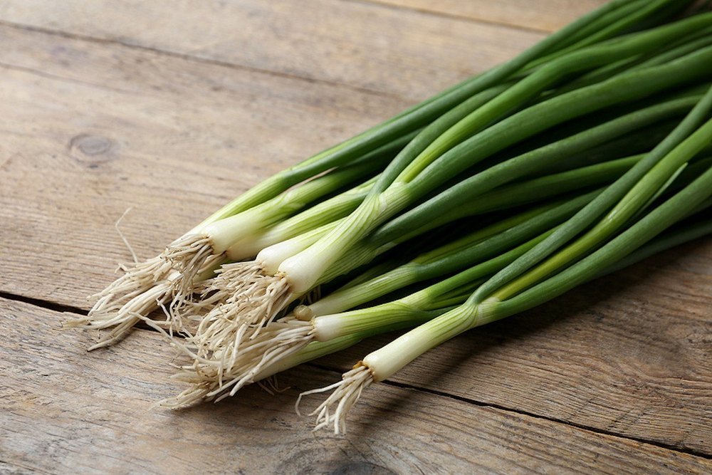 A Grade Fresh Green Leek, Loose