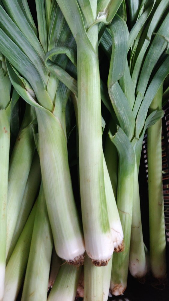 A Grade Green Leeks, Carton, 20 Kg